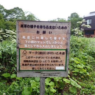 これも以前あったような