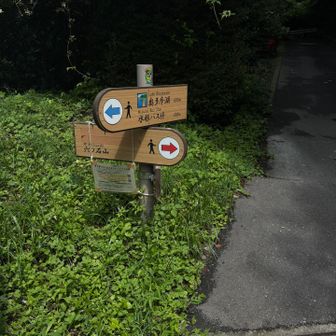 ここで右手に登って行きます