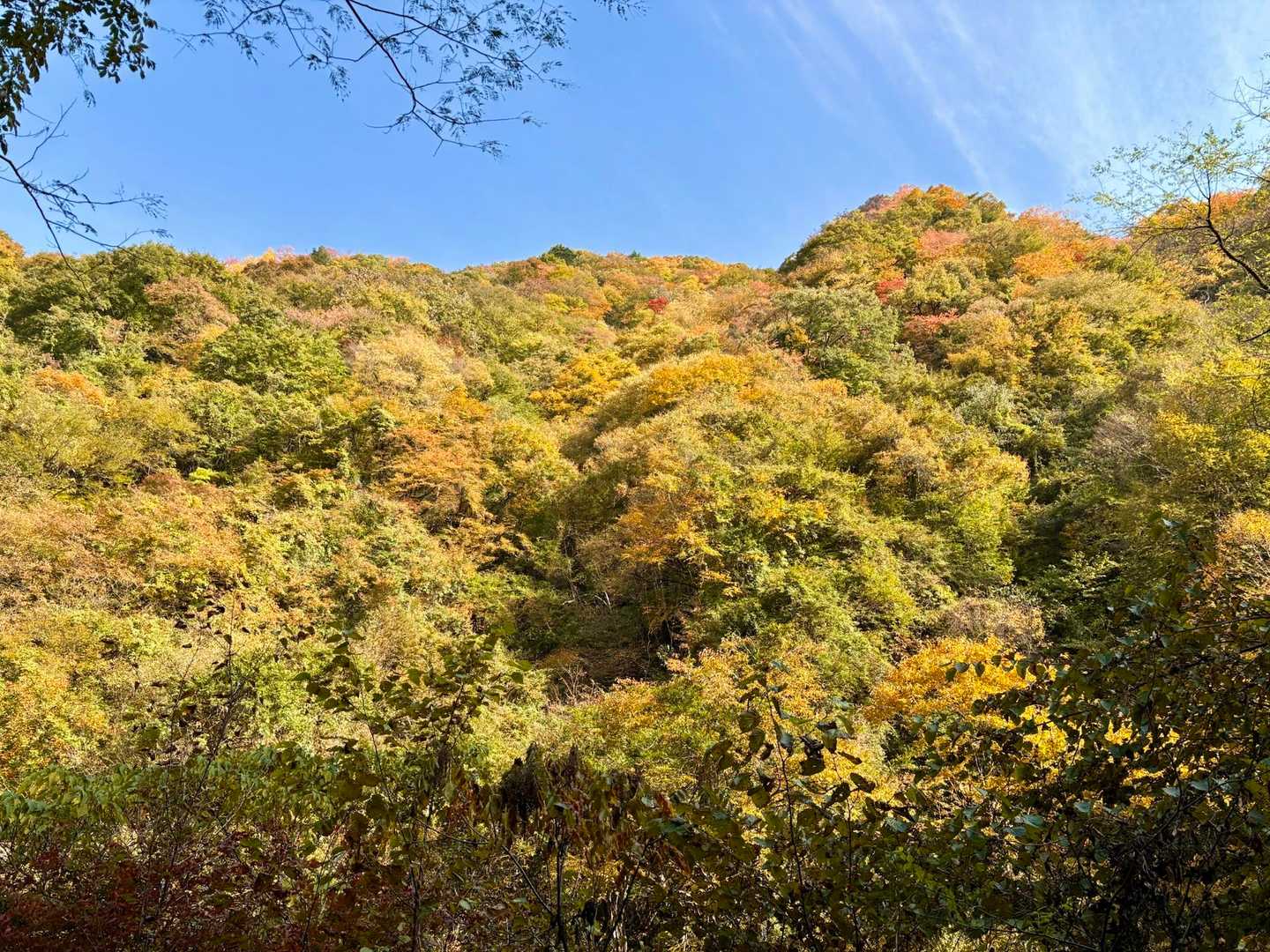 小持山に続く稜線も