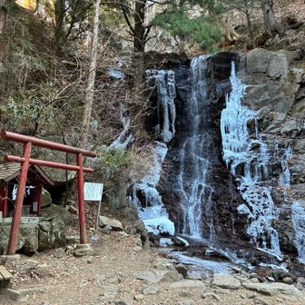 神社の最深部「母の白滝」（観光客はここまで）
滝の両サイドはカッチカチ🧊に凍って、真ん中だけ水が流れ落ちていた