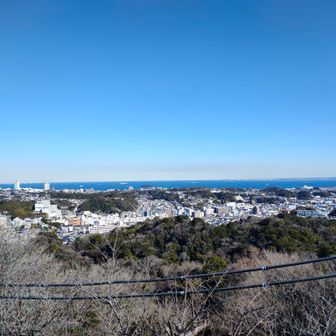 衣笠山より東京側
