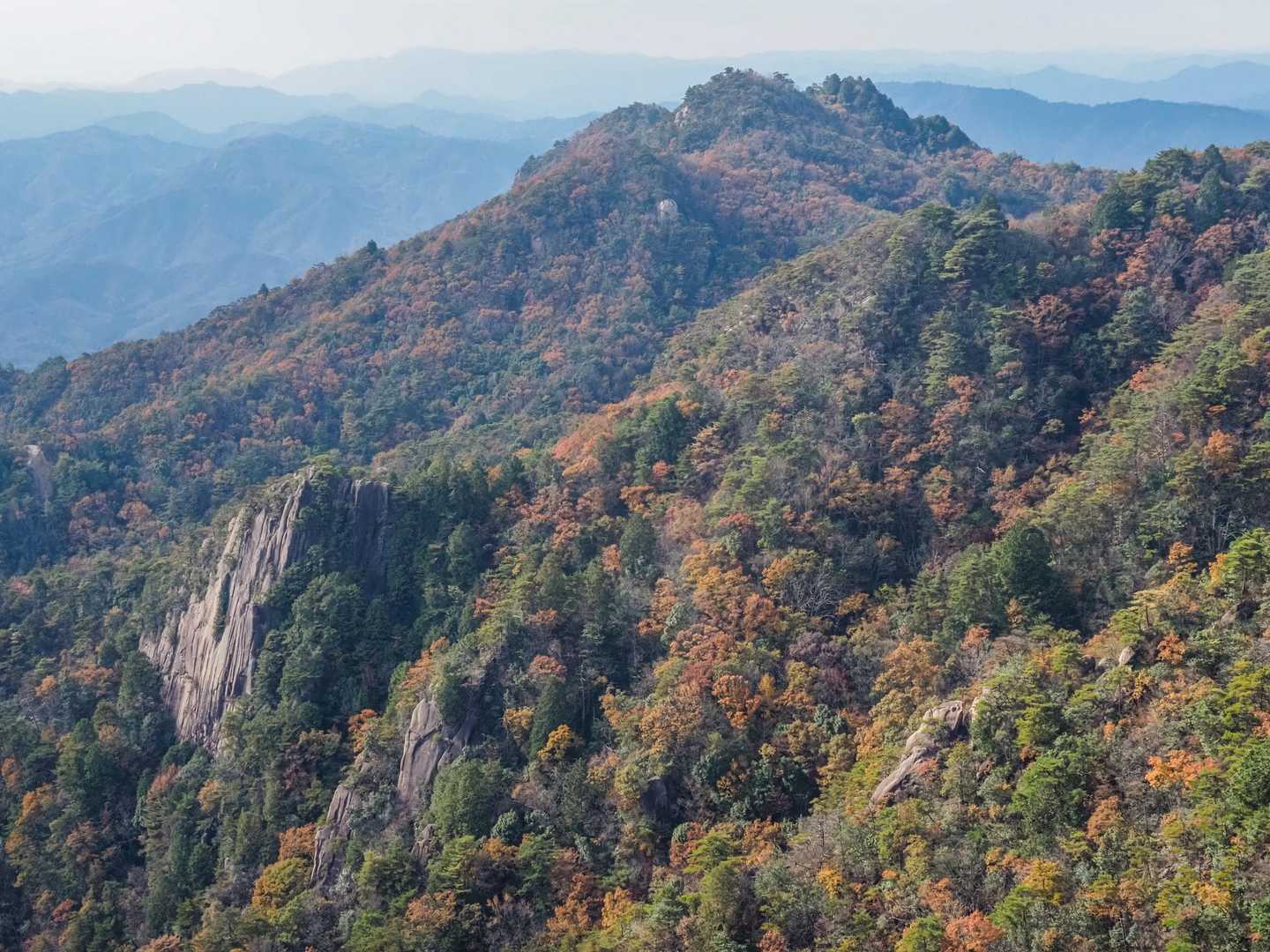 Bコース登山口-中岳 往復コースの写真