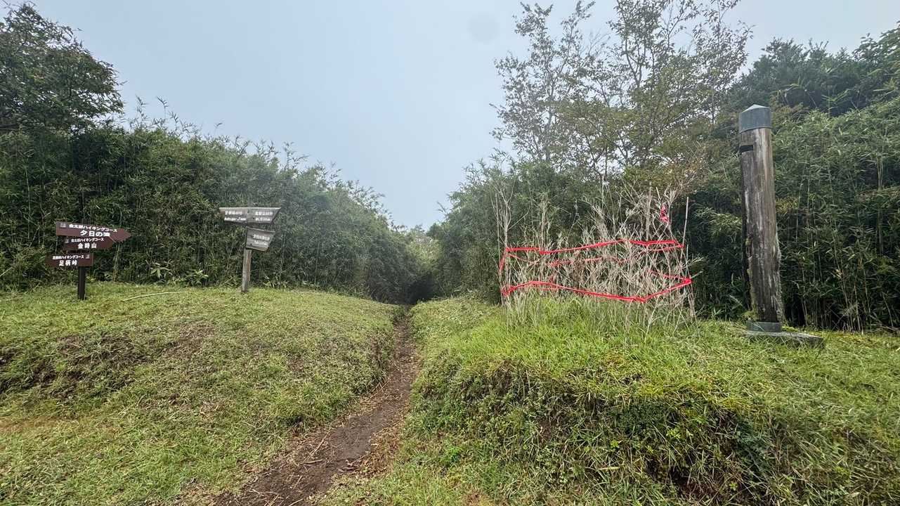 富士箱根トレイル（丸鉢山・金時山・長尾山） の写真 8
