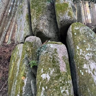 寄り添い岩
なんだか噛み合わせの悪い歯に見えてきた👀