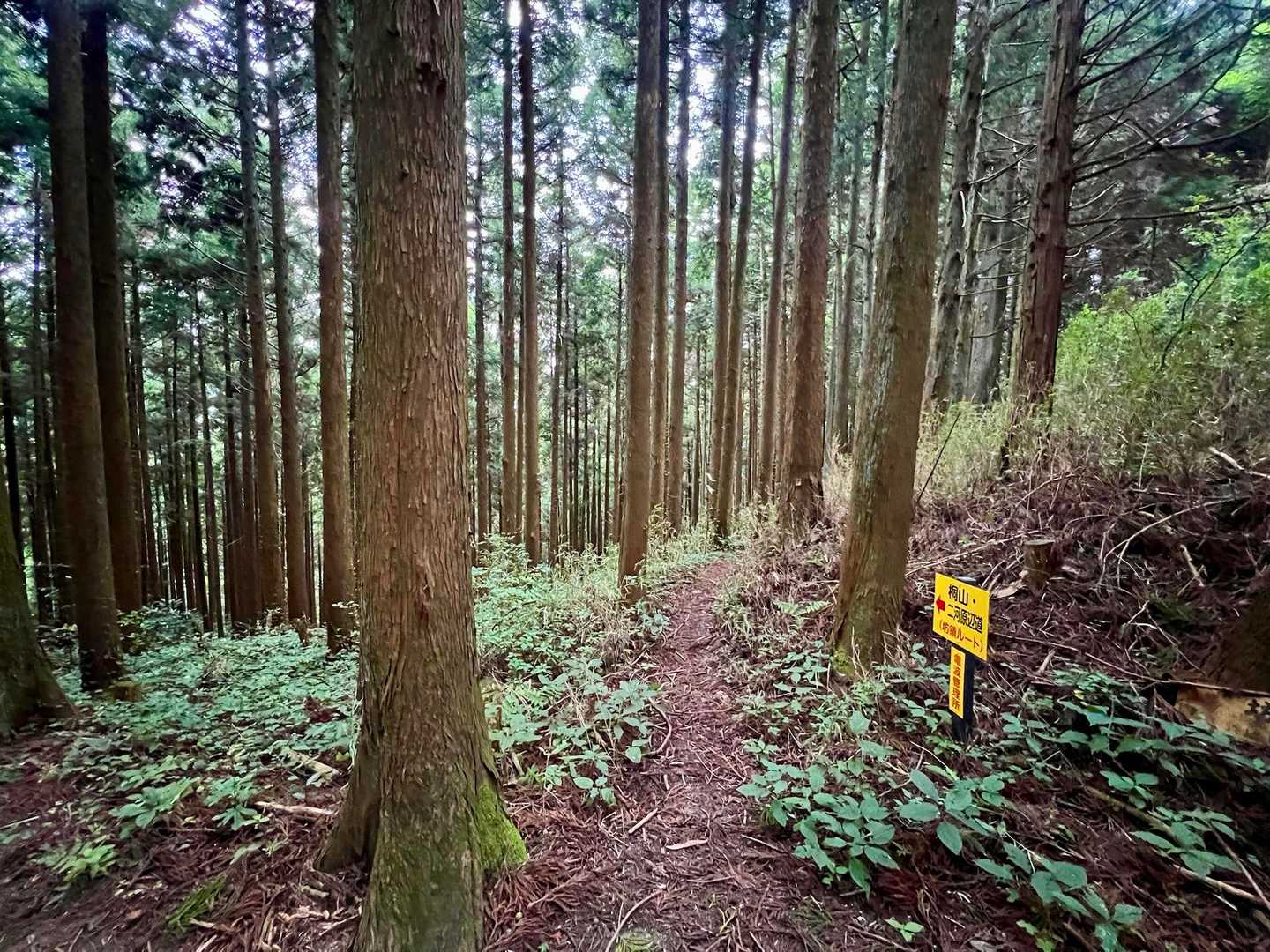金剛山山頂売店-金剛山 周回コースの写真