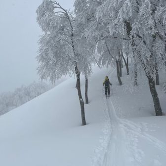 まっき