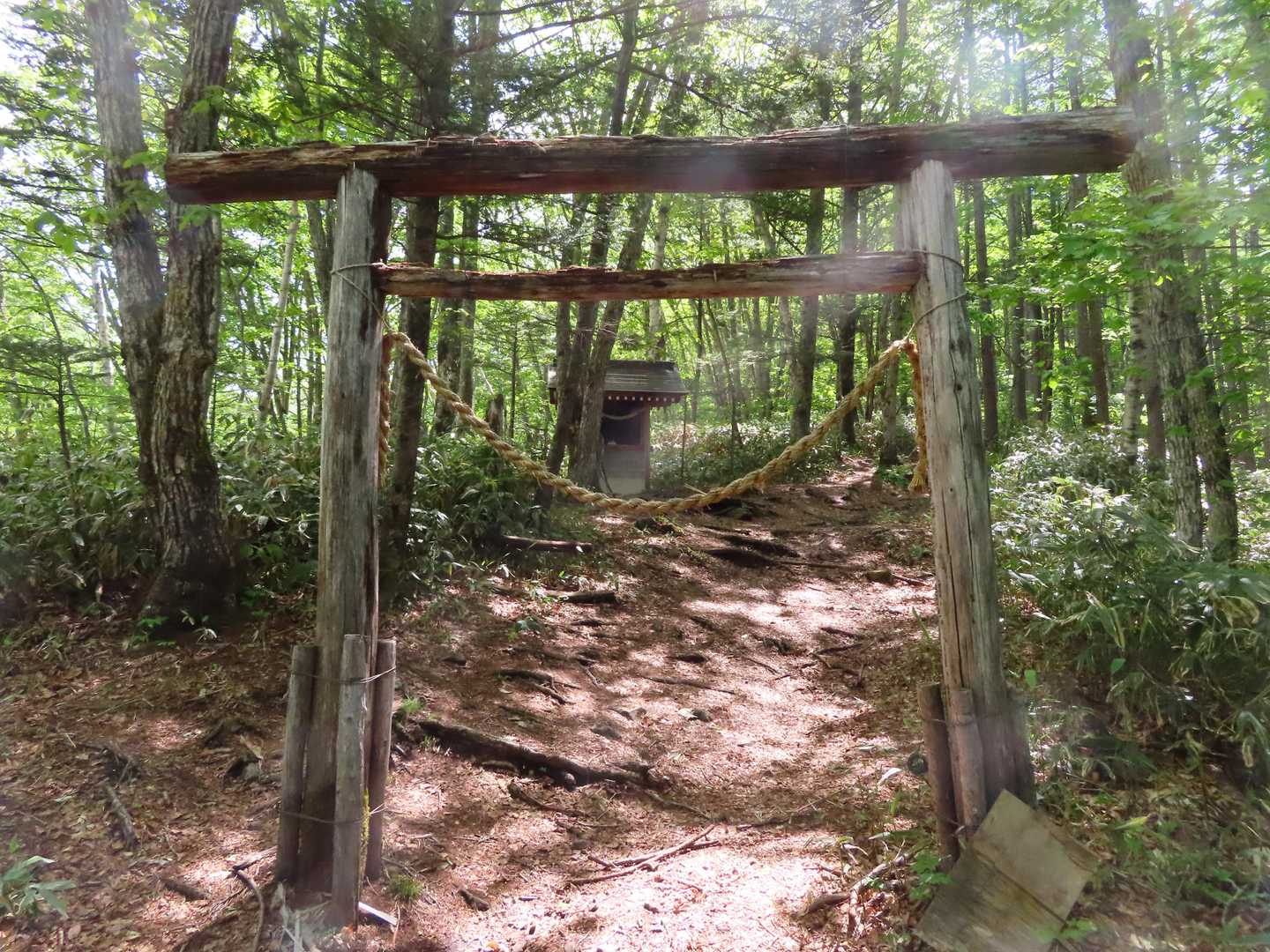 鳥居と祠あり。YAMAP地図によれば萓ノ宮