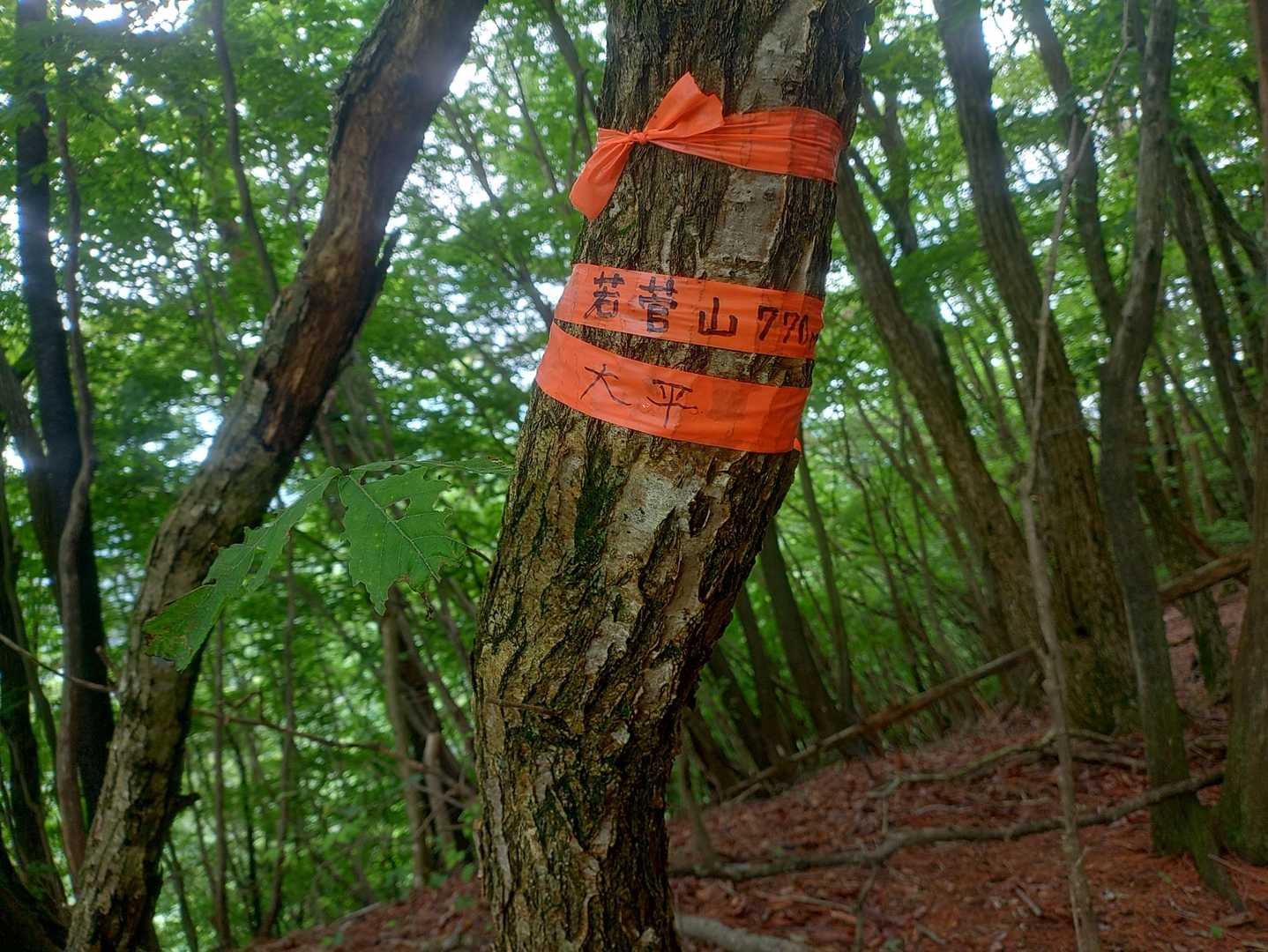 ここが岩菅山(*ﾟｰﾟ)　
なんもない(*ﾟｰﾟ)
そしてここで本来は行き止まりなのですがここから少し進むと…