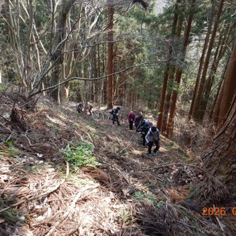 早速急登を体験する。