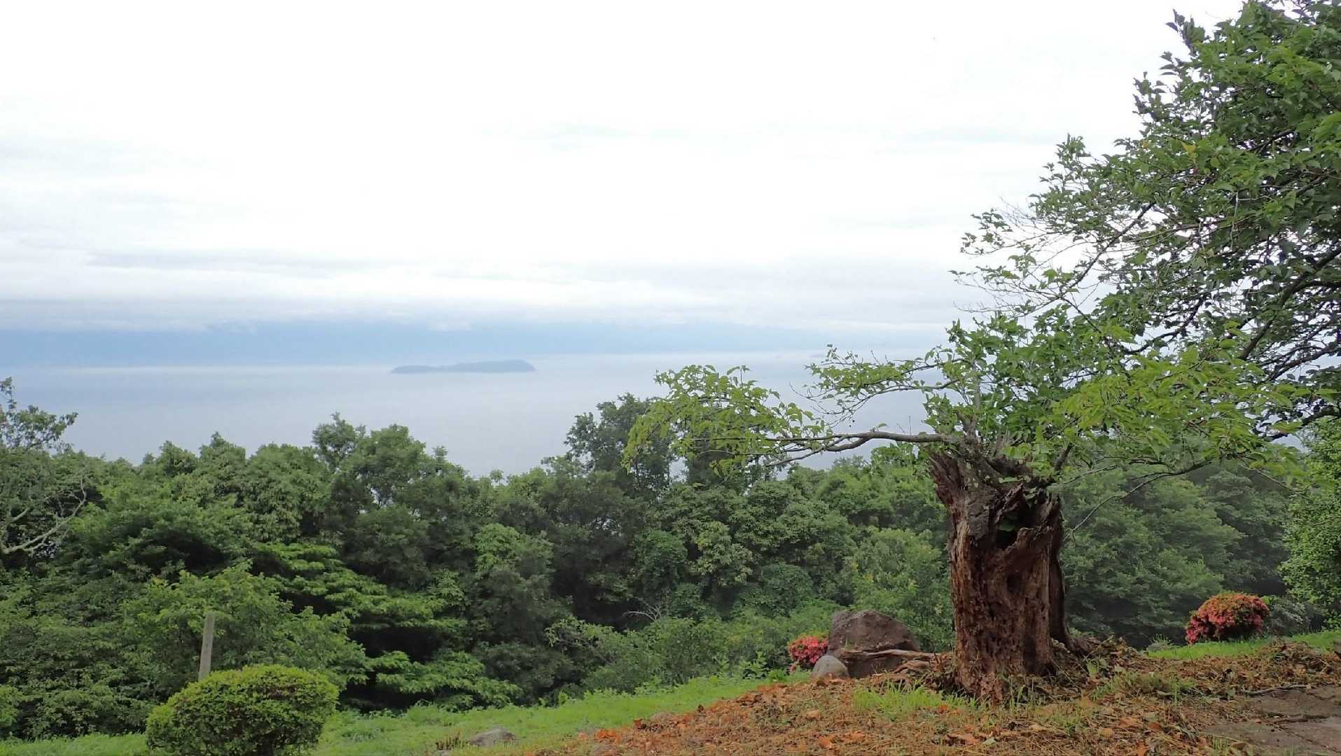 お天気が回復してきそうな予感