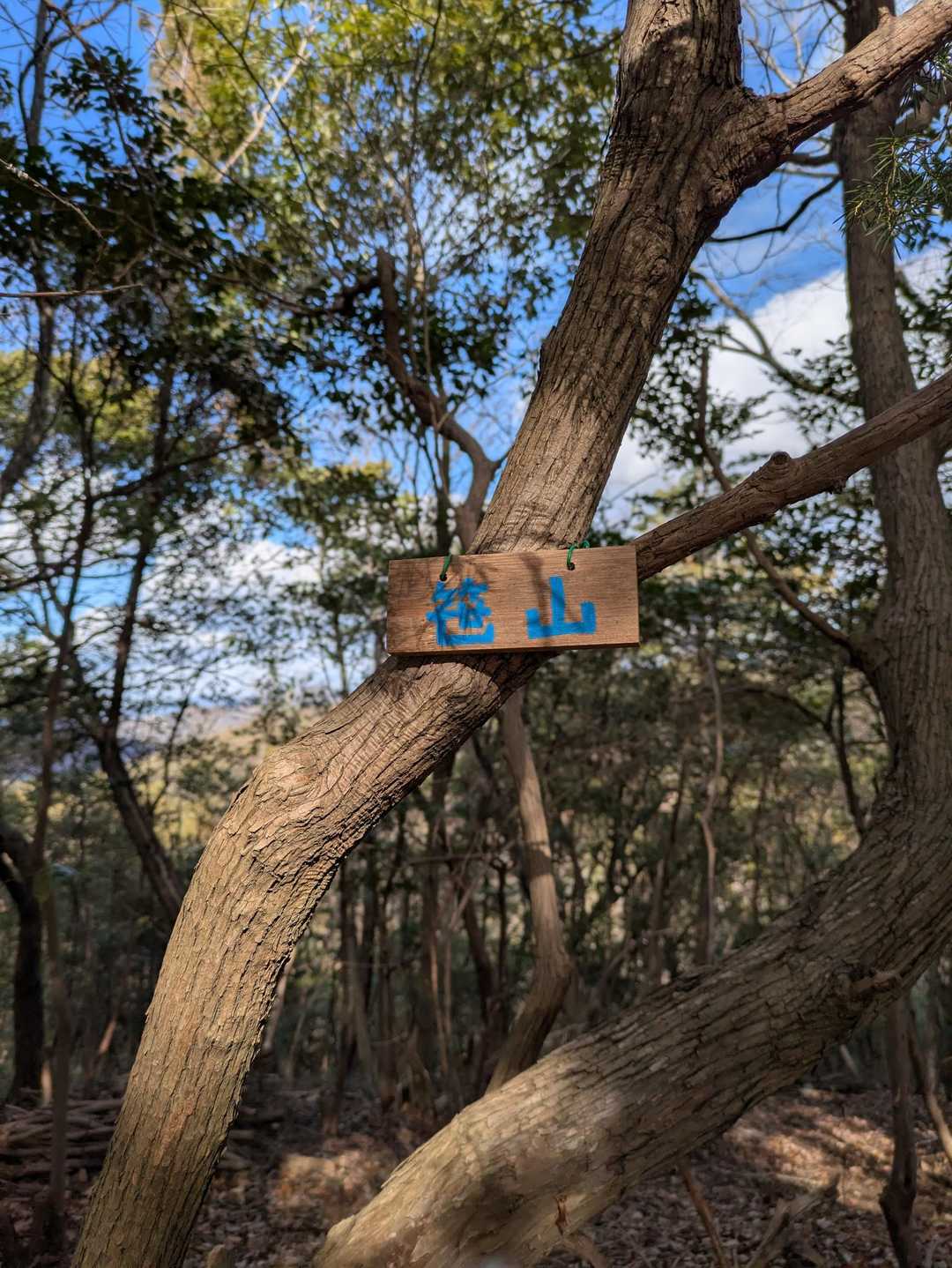笹山到着