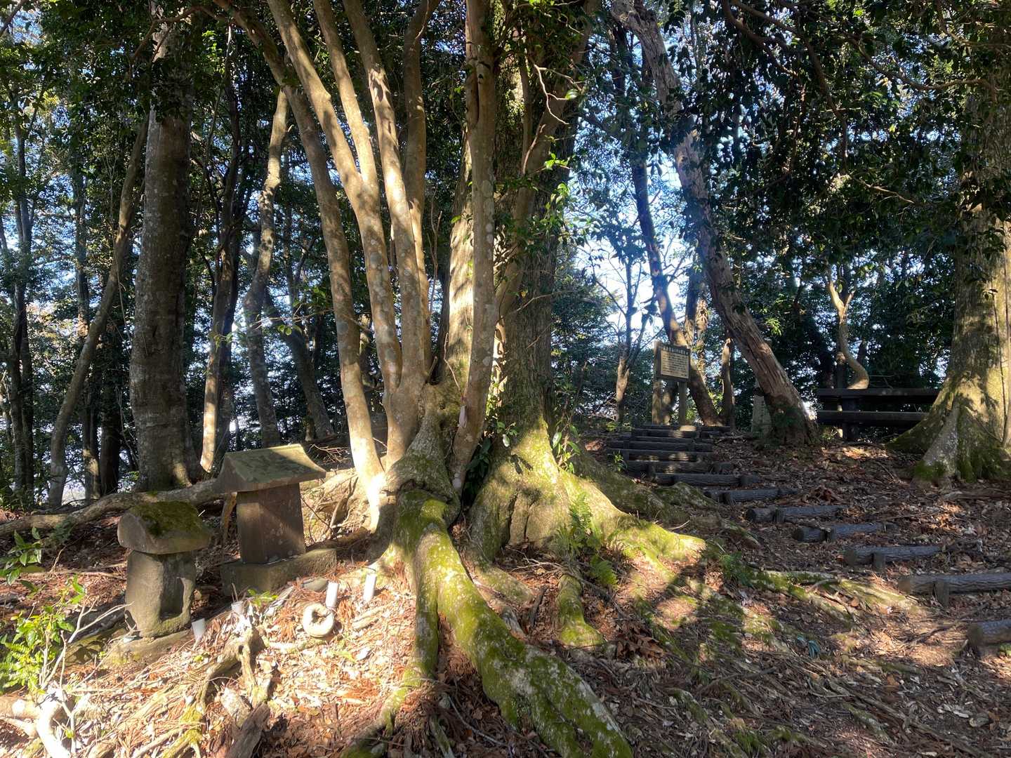 山頂の大山神社。