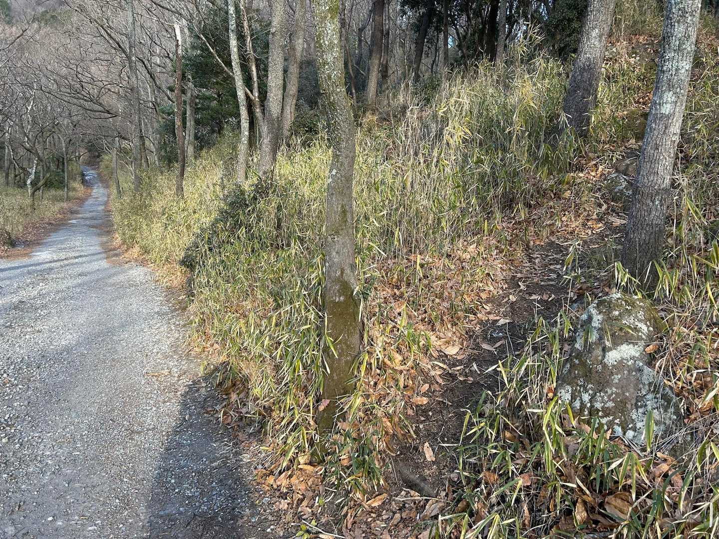 ココから登山道へ