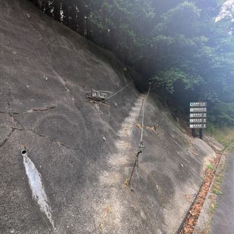 ココを登っていくのかｗ。