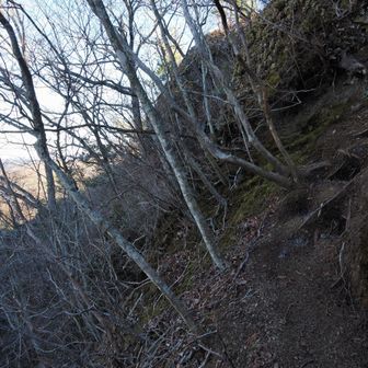 生瀬富士北側斜面。
ここの少し下にある岩を直登しました。（トラロープが下がっています。）
岩を巻くように左へ進む踏み跡あり、そちらを進むと結構な急斜面を経て（生瀬富士頂上ではなく）、茨城のジャンダルムへの入口付近に出ます。
ここまでの平和な道から、急に岩と急斜面を登ることになります。