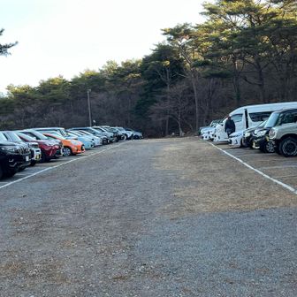 今年は駐車場に停めれました😊