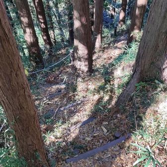 甘沼山を後にして下り階段に来ましたが。狭い🤣