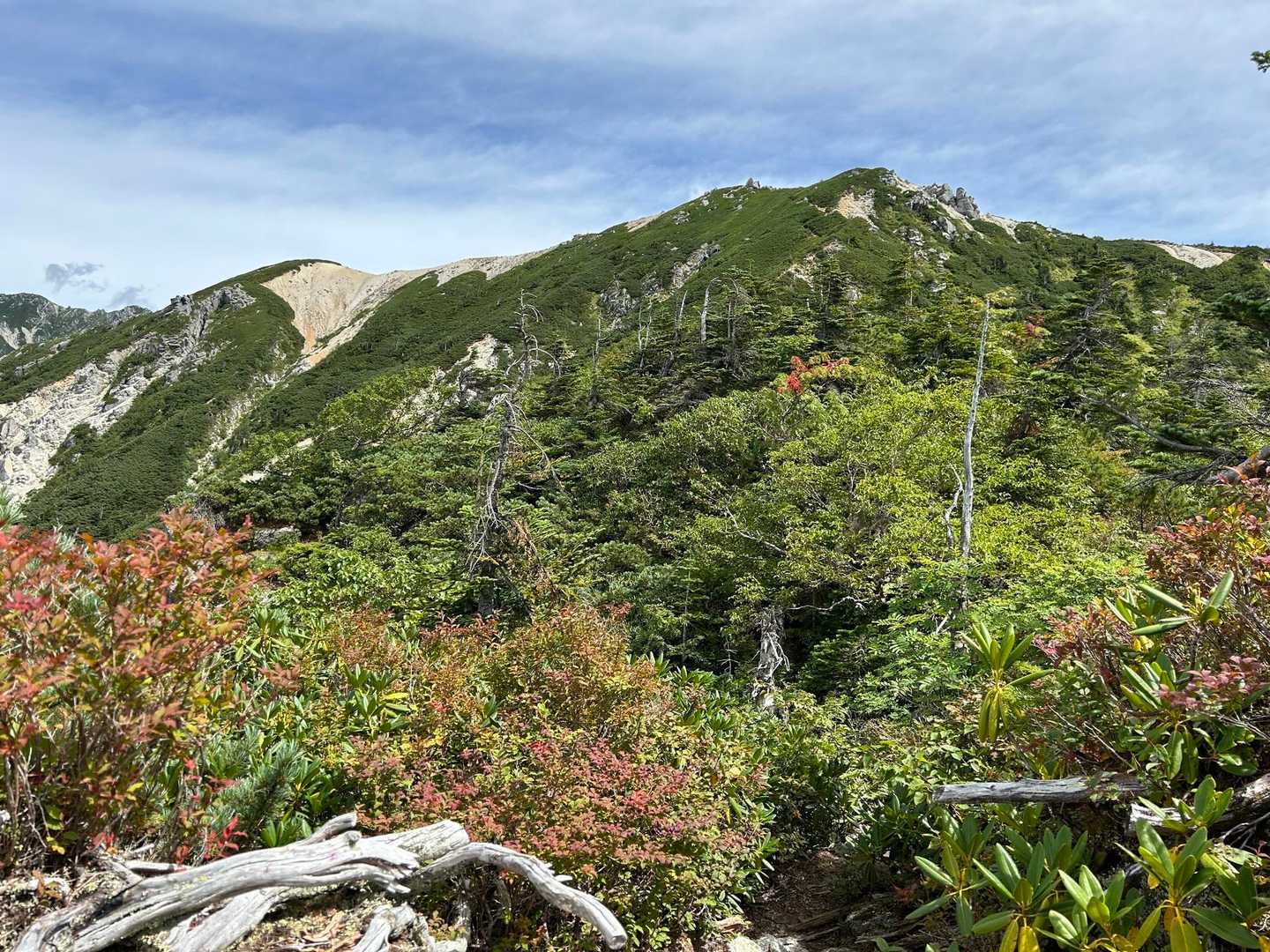 ゲート-伊奈川ダム登山口-越百山 往復コースの写真