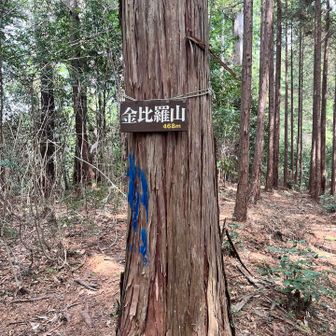 気づかないと素通りしてしまいそうです。