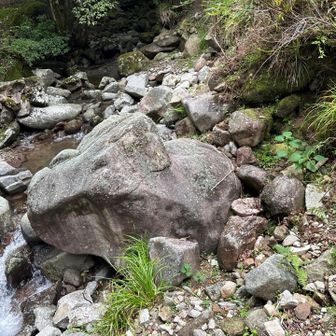 この岩🪨　乗り越え様として　バランス崩して…

転けた原因かと思うのは
足の🦶🦶　重心の位置みたいで…  左足小指の根元に
中心がある様で🤔
最近、そこに　タコ🐙　出来てしまい
またまた、歩き方を見直してる最中ですが…🤔