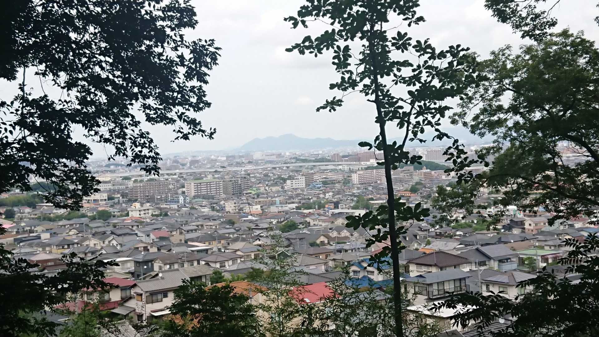 いつもの風景。立花山が見えてます👀