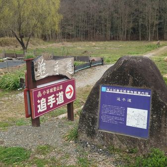 追手道から正面突破で攻略しますw