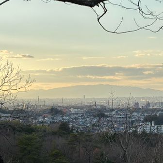 六甲も見えました👀