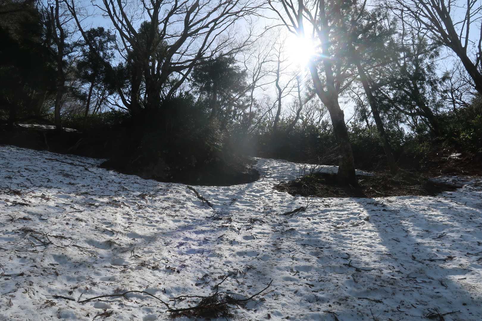 夫婦山-夫婦山 往復コースの写真