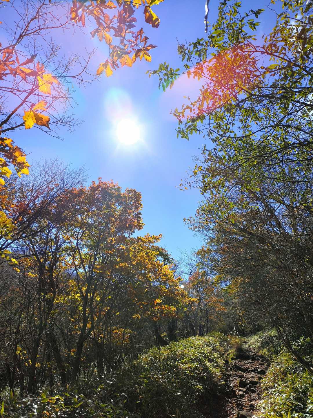 赤城山大洞バス停-地蔵岳 周回コースの写真