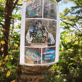 石の作品群はパウチ化されて実物は見かけなかった