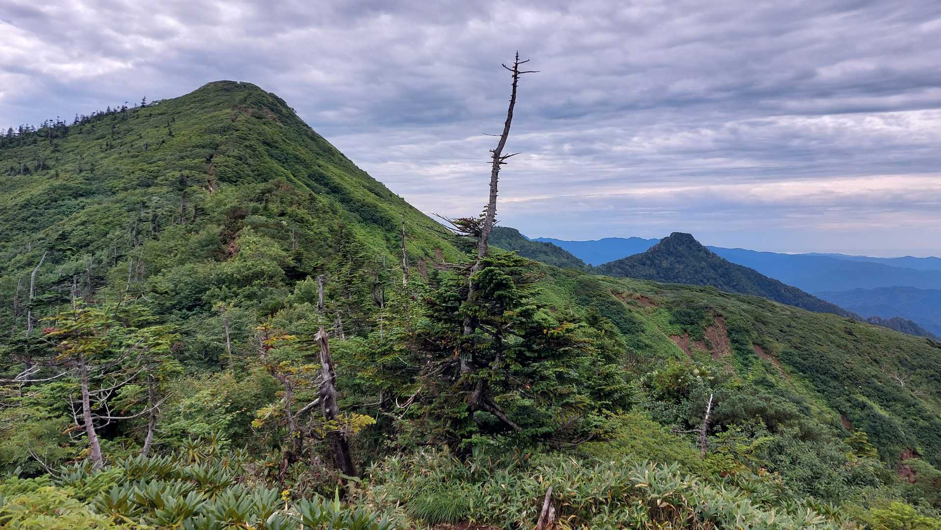 武尊山-剣ヶ峰山 周回コースの写真