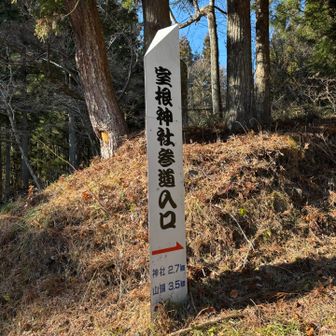 駐車場には数台の車が🚗

では、参道入り口からスタート▶️