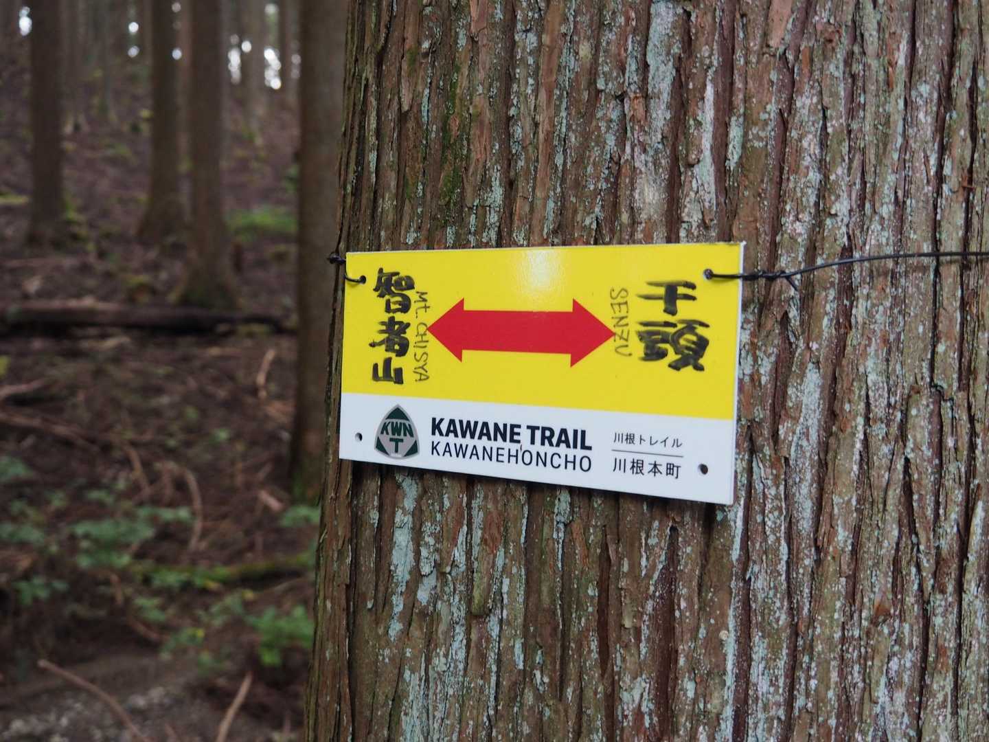 智者山（ちしゃやま）って読むのね。
智者山、なかなか到着しません😆