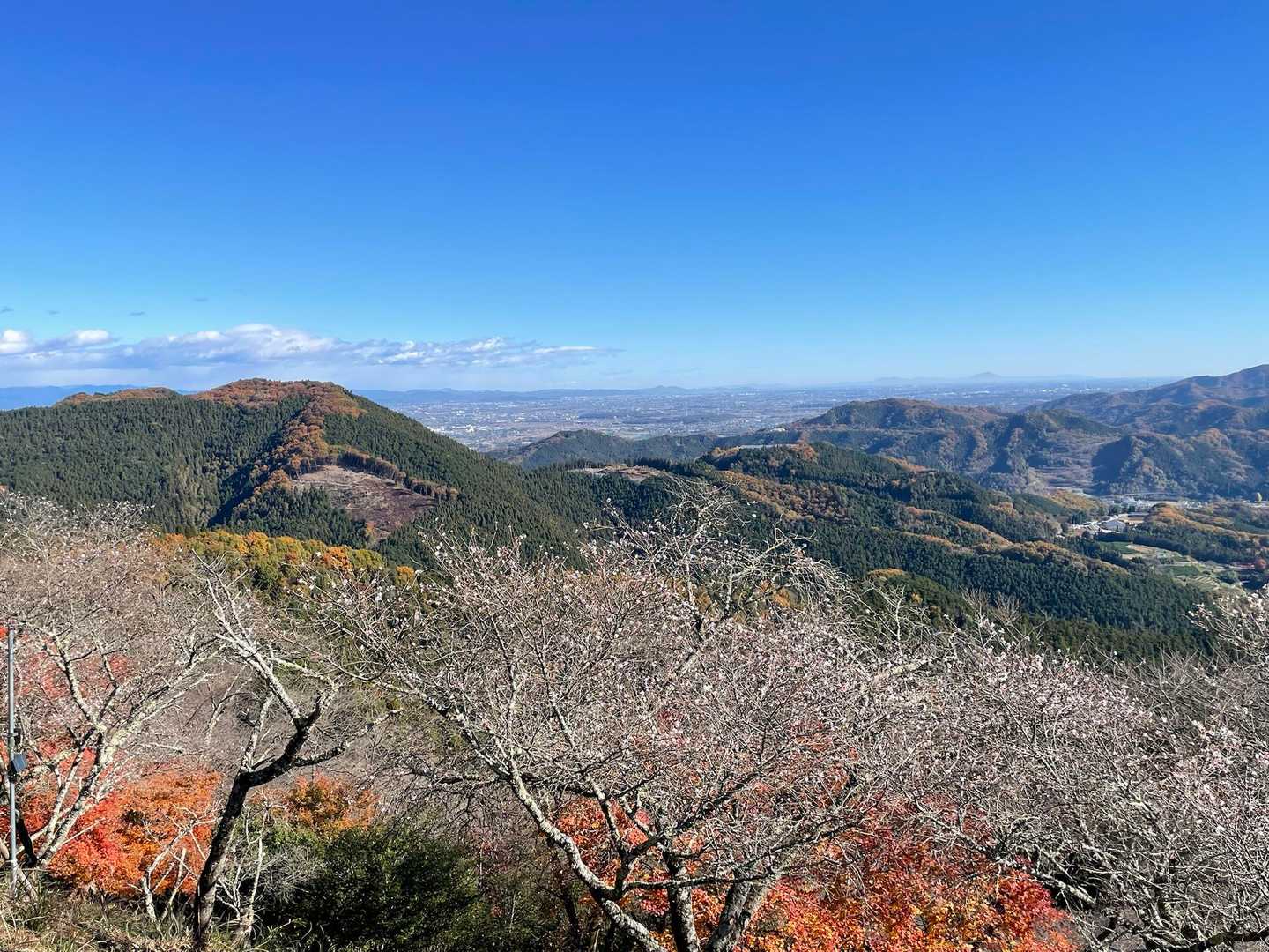 弁天山・桜山ハイキングコース入口-弁天山-林道塩水線入り口 周回コースの写真