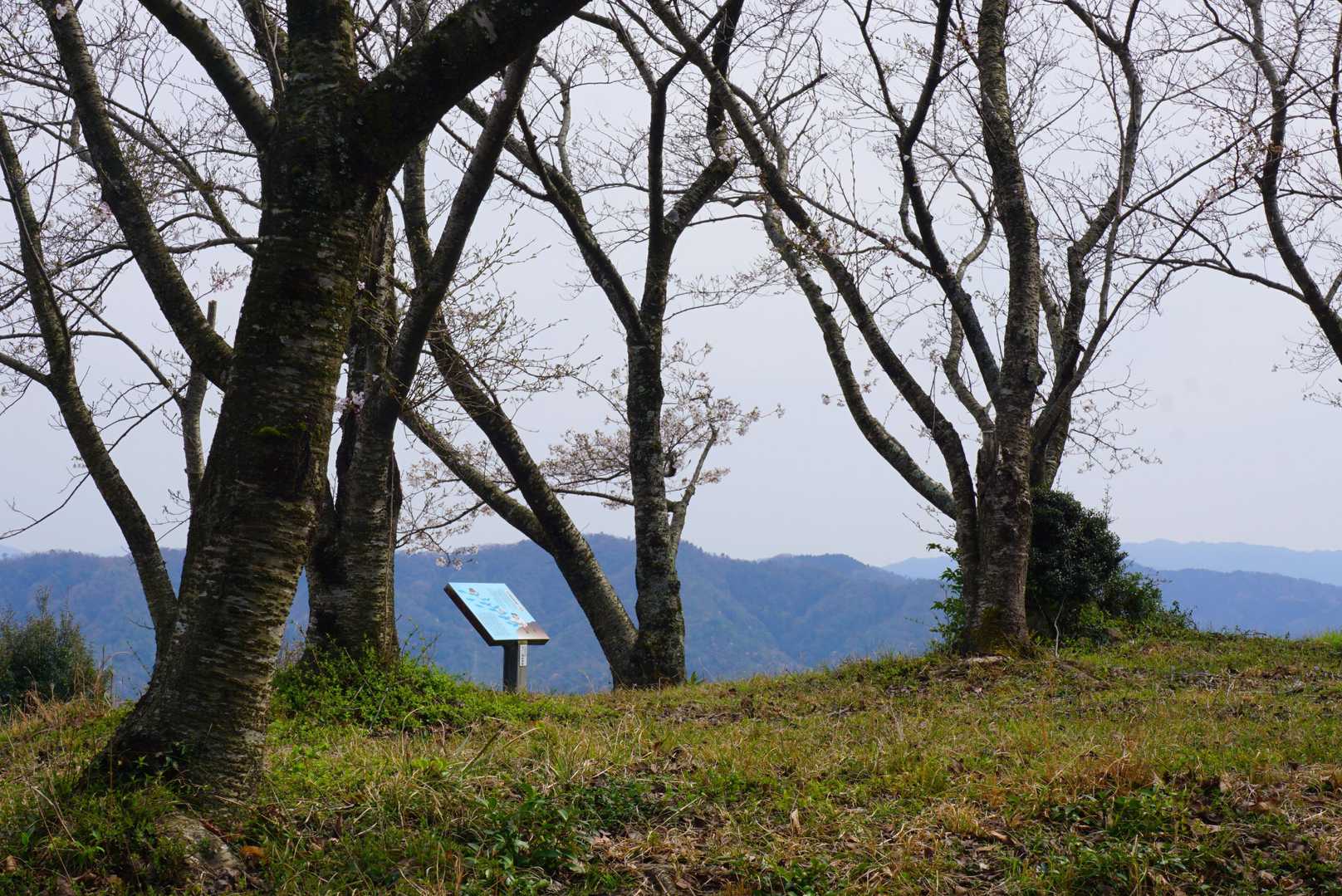岩舟登山道入口-車山-車山登山道入口 周回コースの写真