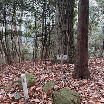 一座目 竜王山（421.6m）
40分くらいで着きますが景色はなし