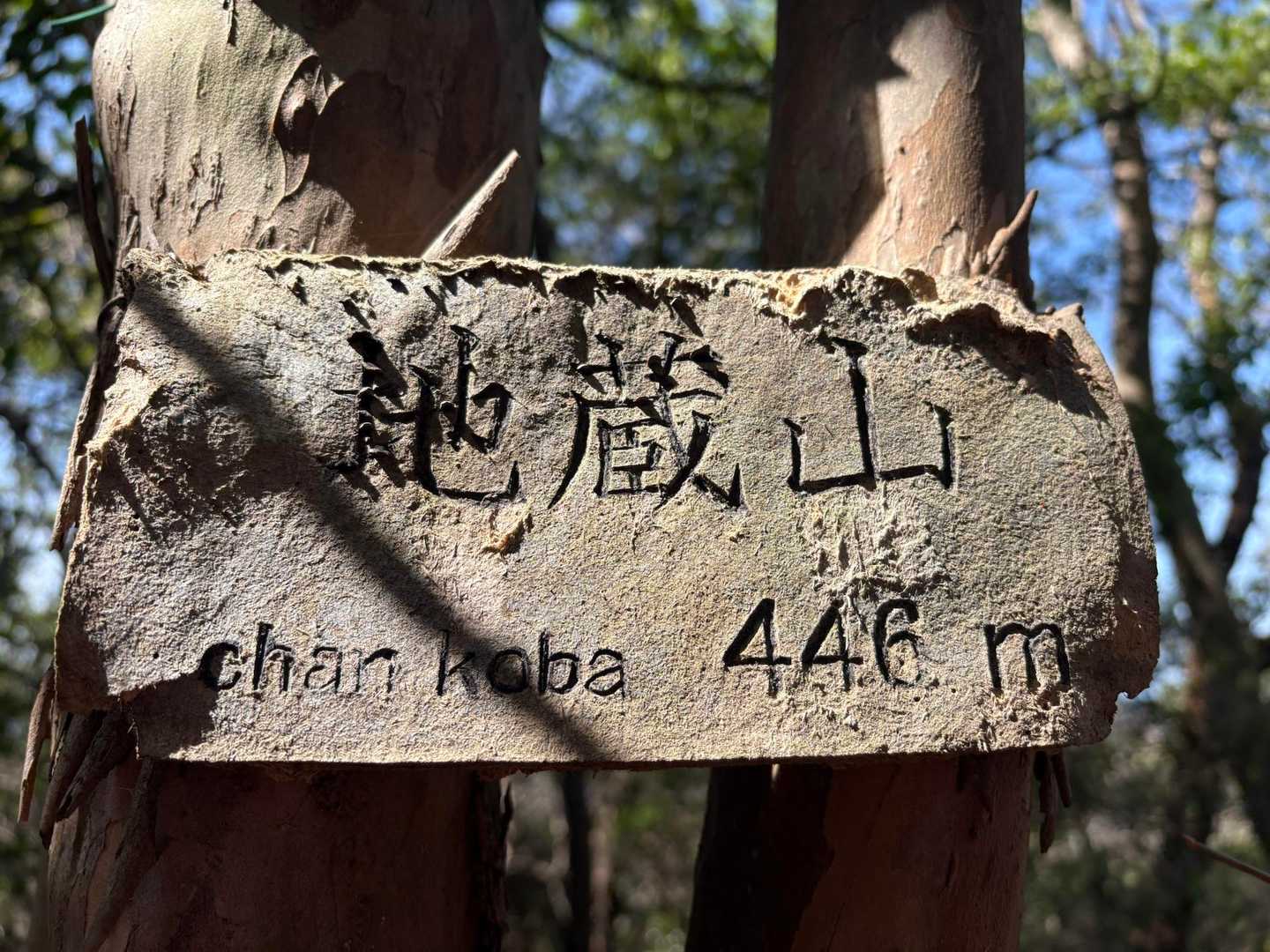 地蔵山到着