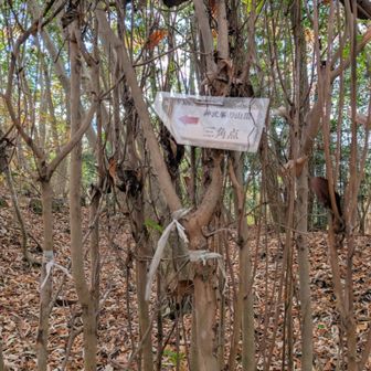 三角点みつからず💦