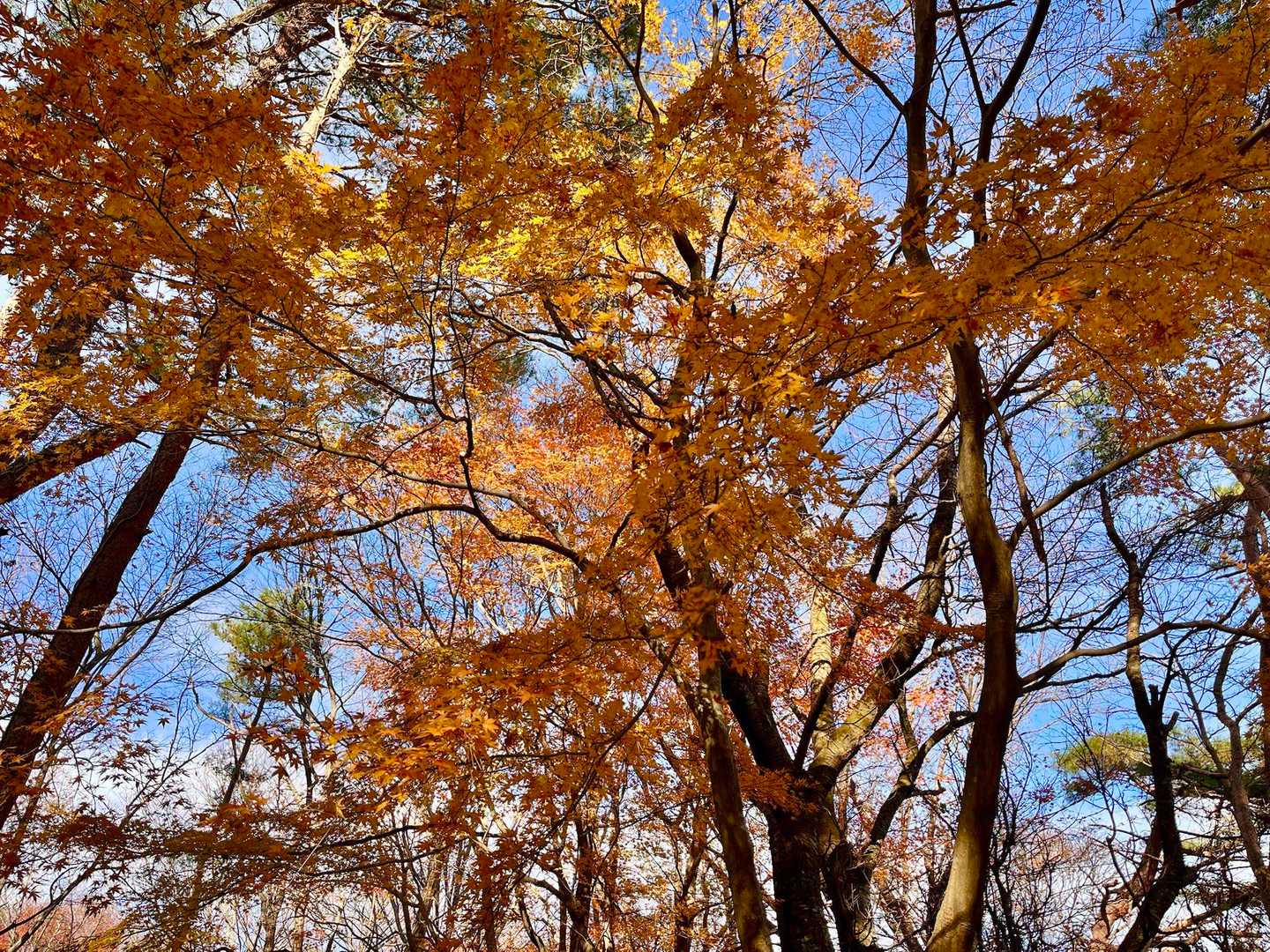 水石山に戻ります。