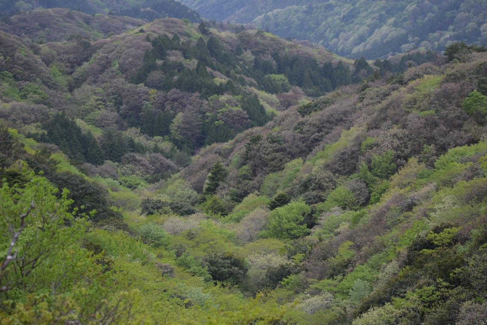 ホントに素敵だよ😊
誰かに見せたい風景