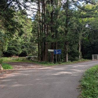 林道分岐
ここを過ぎると林道だけど勾配は急になる