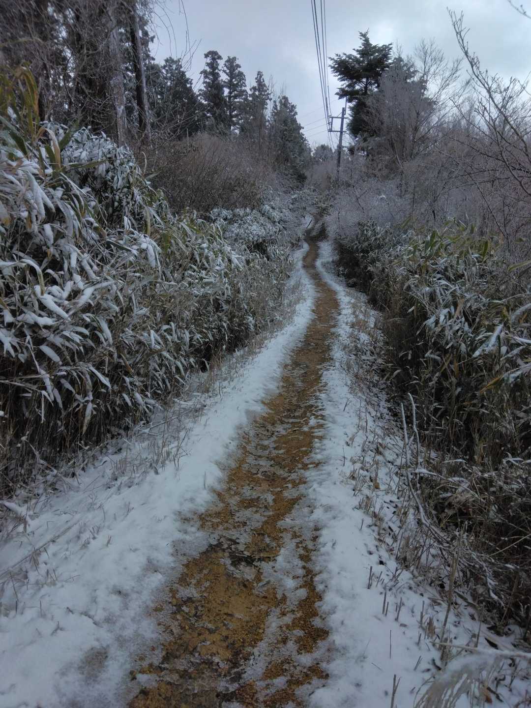 いい道だなぁ