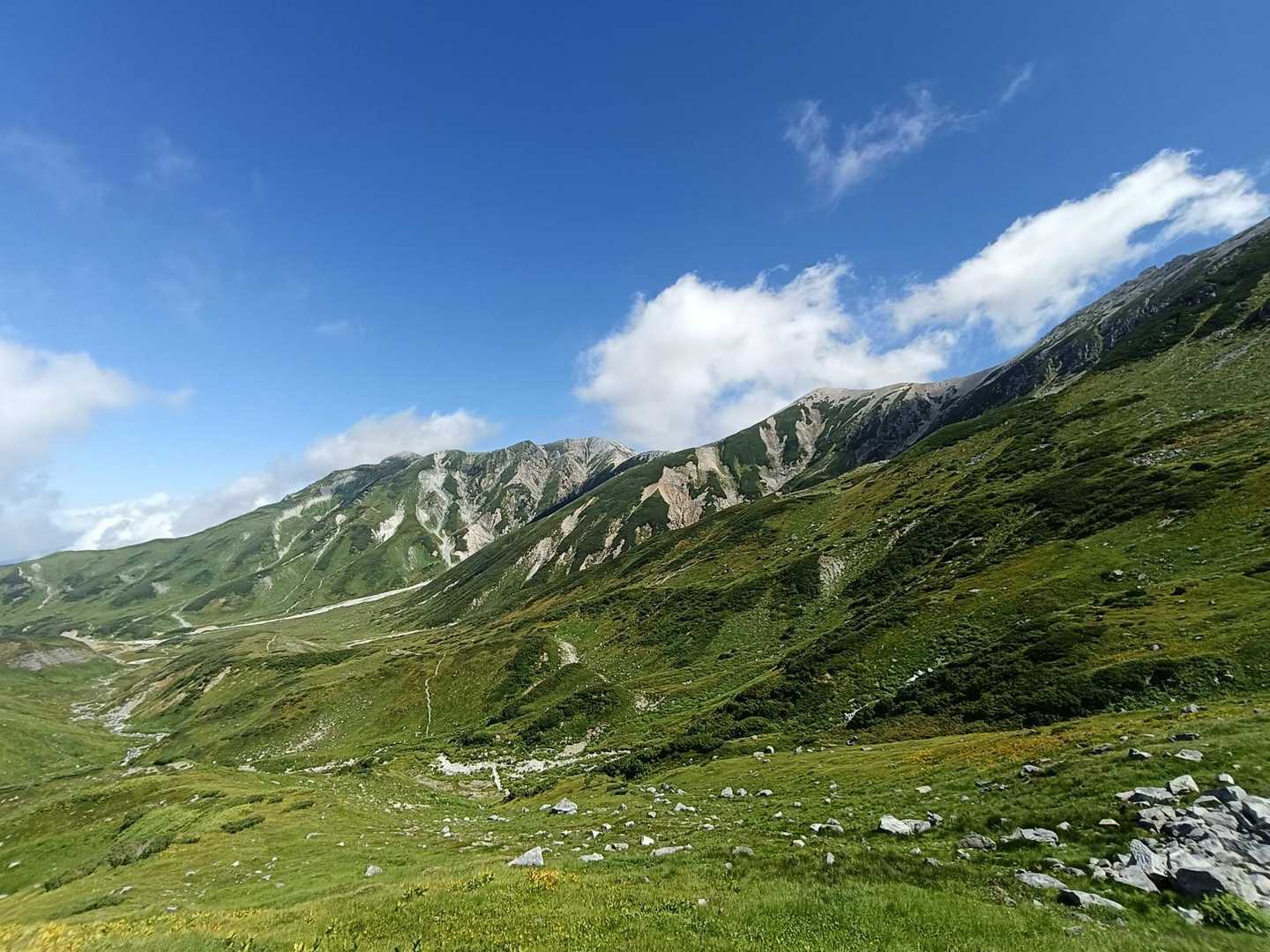 🙋‍♀️キャー！スイス〜〜〜🇨🇭
      どこを見てもハイジの景色🙌