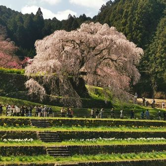 いいですね～👍️