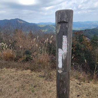 5年ぶりの大根地山