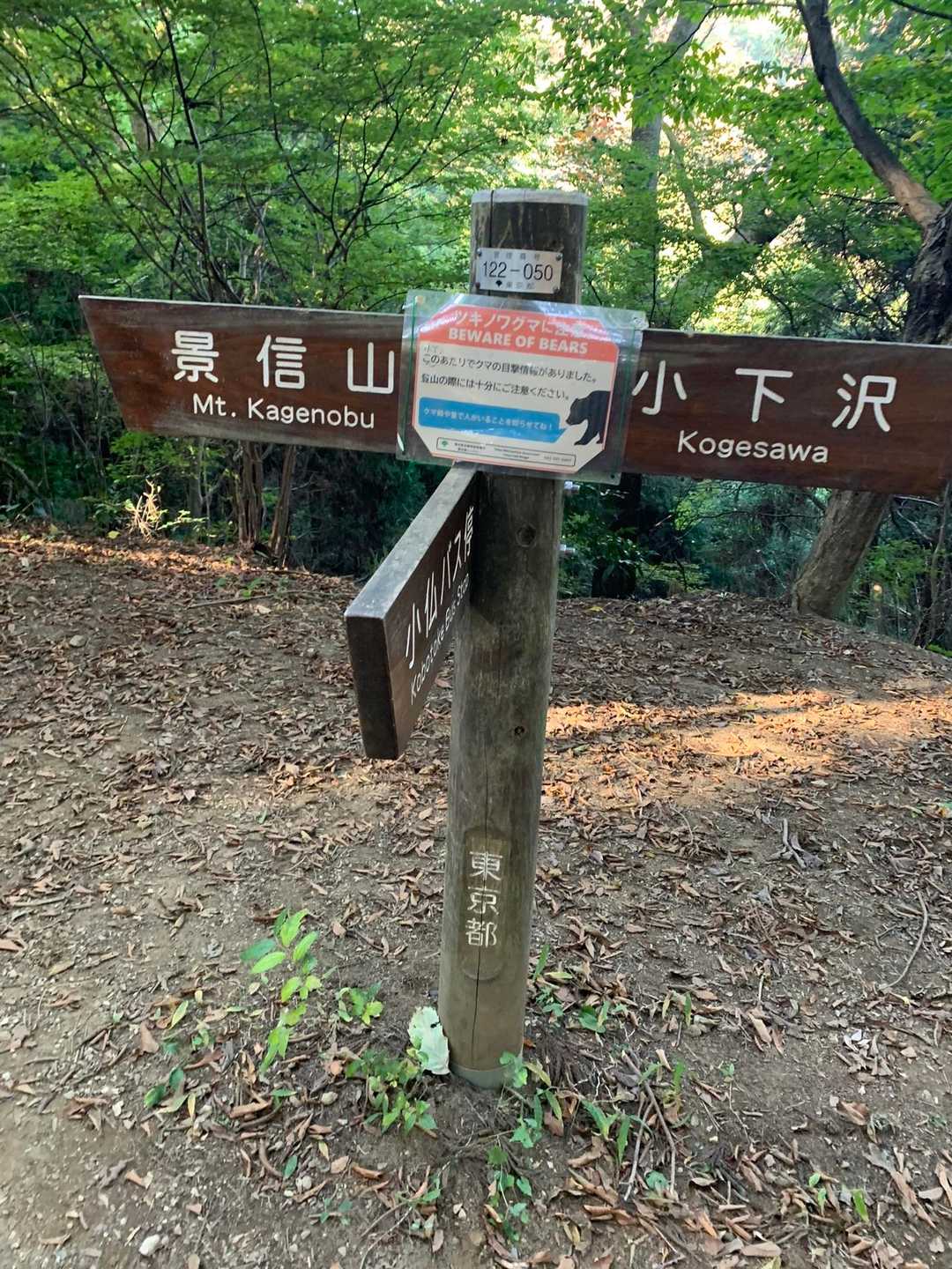 登ると開けた分岐点に到着する。
