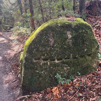 矢穴の跡がならんでる