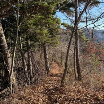 さぁ！次のピークへ