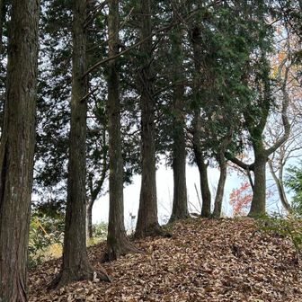 よく見たら
サザエさんの
エンディングのような
隊列(o´罒`o) ♪