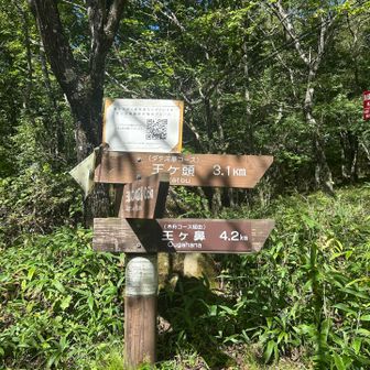 分岐点には必ず標識がありました